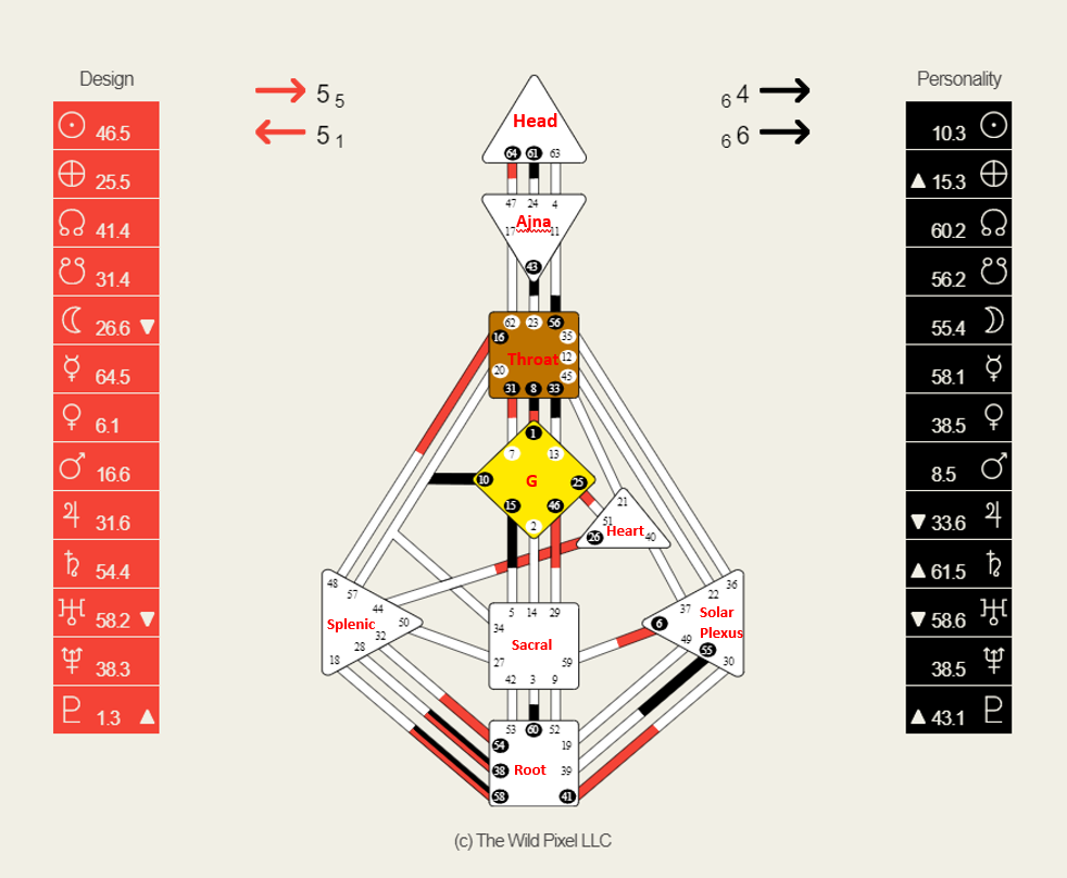 What is Human Design? — The Wild Pixel
